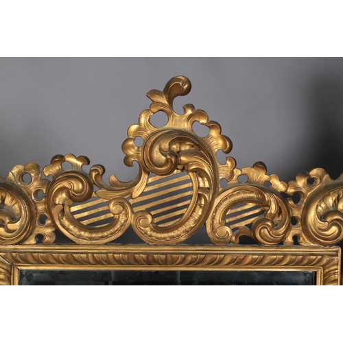 485 - A GILTWOOD AND GESSO ROCOCO STYLE WALL MIRROR with ornate C and foliate scroll carved frame, gadroon... 