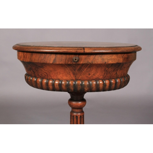 519 - AN EARLY VICTORIAN BURR WALNUT VENEERED TEAPOY, oval, the hinged lid revealing an interior with pair... 