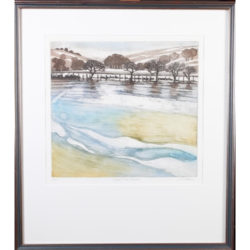 110 - DOROTHY M PATTERSON (20th century), Frozen Flood, Swaledale, colour etching, no. 5/50, titled, signe... 