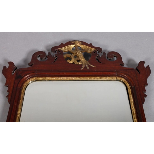 203 - A Vauxhall style fretted frame wall mirror with gilt ho-ho bird finial the base with shaded shell pa... 