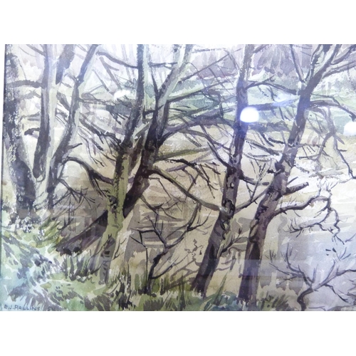 251 - Edward J Rawlins trees at Knaresborough, Yorkshire farmstead and coastal landscape watercolour each ... 