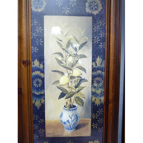 206 - Pair of coloured prints of of a lemon tree held in a blue and white Delft vase and an orange tree si... 