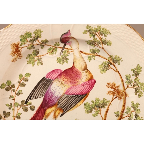 10 - A Creamware plate painted in the style of Chelsea with an exotic bird and tree in polychrome enamels... 