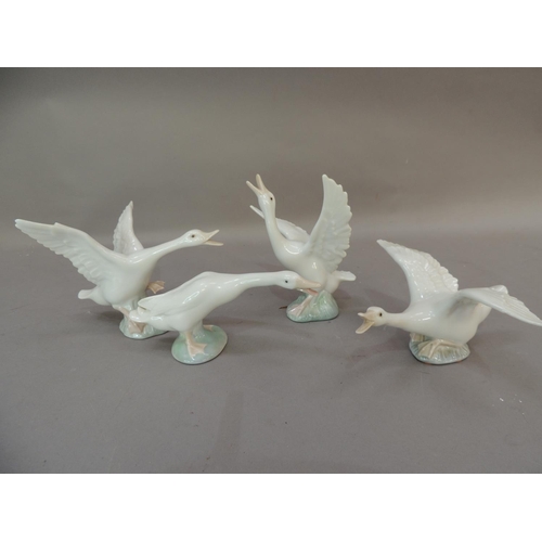 43 - Four Lladro porcelain goose figures, various sizes