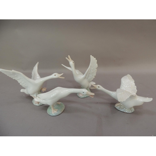 43 - Four Lladro porcelain goose figures, various sizes