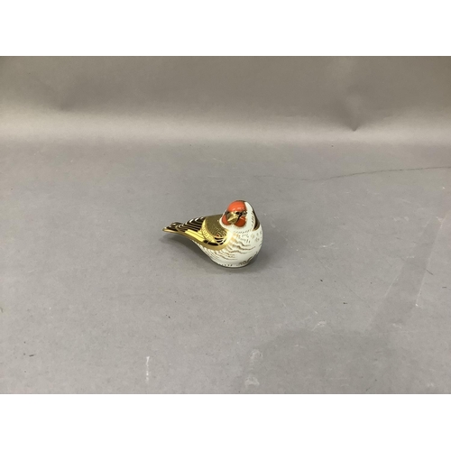 23 - A Royal Crown Derby paperweight goldfinch with gold button to underside