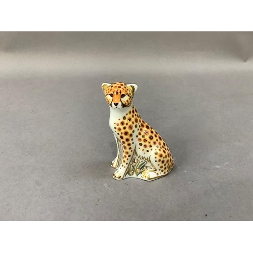 Lot 26        
