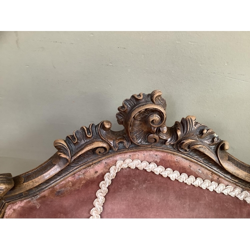 166 - A pair of 19th century mahogany salon chairs with rocaille cresting, pink velvet upholstered back an... 