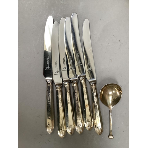 209 - A boxed set of six silver handled tea knives, Sheffield 1953 together with a silver caddy spoon, She... 