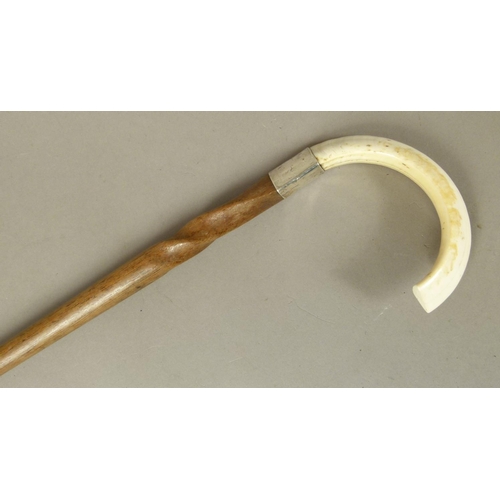 344 - A tapered hardwood walking stick with twisted shaft, silver collar and boar's tusk handle, brass fer... 