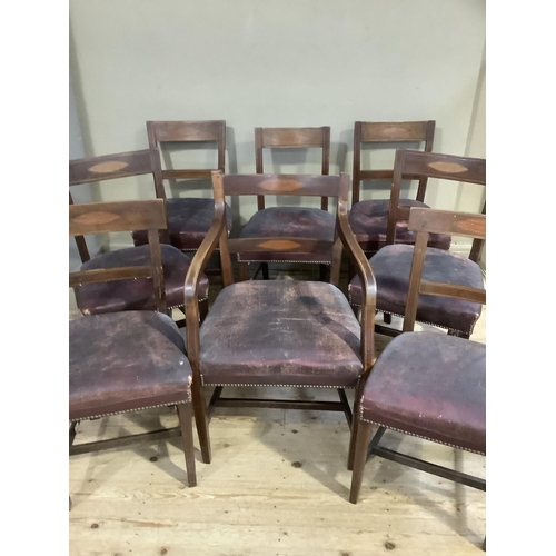 324 - A matched set of eight mahogany early 19th century dining chairs inlaid to the bar back with a satin... 