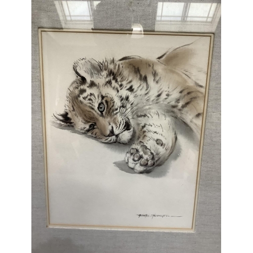 287 - Ralph Thompson b.1931, Siberian tiger cub relaxing, watercolour, signed to lower right, 33cm by 26cm... 