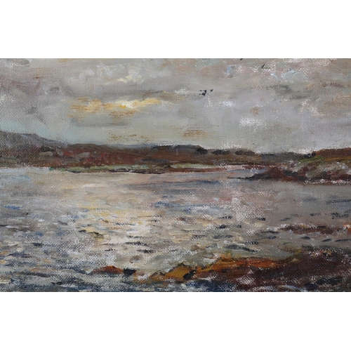 458 - ARR HERBERT F ROYLE (1870-1958), Loch Leosavay, North Harris, rain cloud gathering, oil on board, si... 