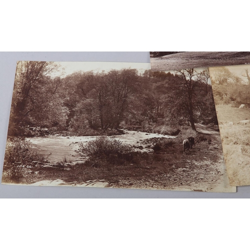 30 - FRANK MEADOW SUTCLIFFE (1853-1941), Danby Lodge, numbered FMS815 in the negative, 128mm x 200mm; Nr ... 