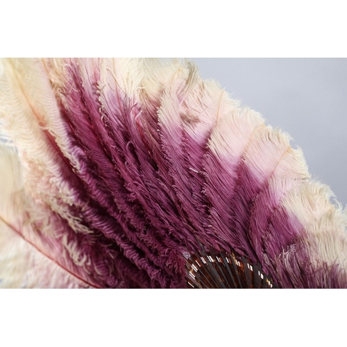 102 - An ostrich feather fan, shaded from purple to lilac and ending in cream, the monture of tortoiseshel... 