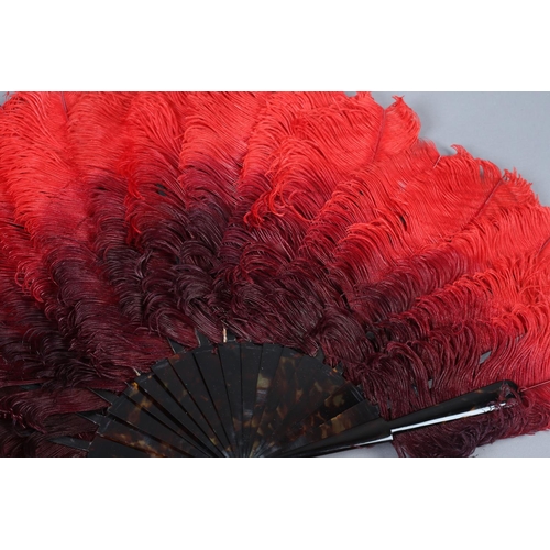 105B - c.1900, an ostrich feather fan, the plumes deep plum shaded to red, with tortoiseshell monture, the ... 