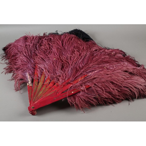 106 - Fan Dancing!  An ostrich feather fan, oversized, with deep plum plumes shading almost to black, with... 