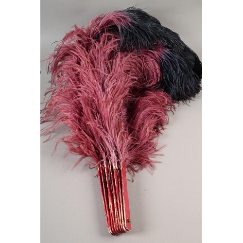 106 - Fan Dancing!  An ostrich feather fan, oversized, with deep plum plumes shading almost to black, with... 