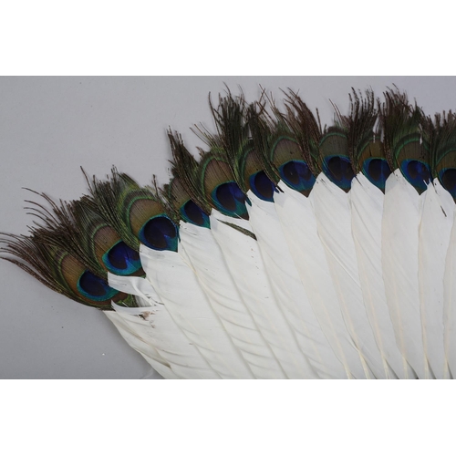 141 - Two 19th century Chinese white duck or goose feather fans, the first mounted on carved wood, the gor... 