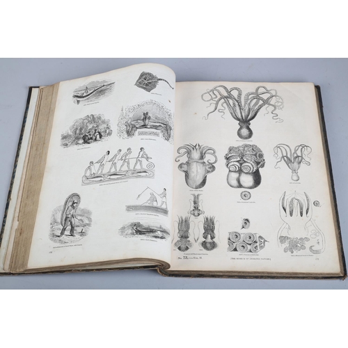 21 - KNIGHT (CHARLES) THE PICTORIAL MUSEUM OF ANIMATED NATURE in two vols, pub. London, no date but proba... 