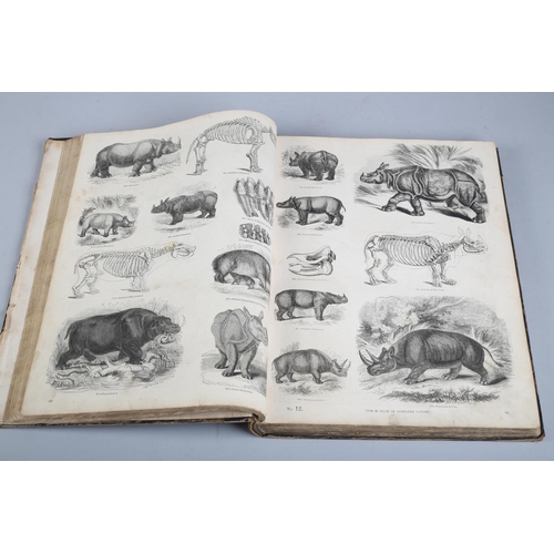 21 - KNIGHT (CHARLES) THE PICTORIAL MUSEUM OF ANIMATED NATURE in two vols, pub. London, no date but proba... 