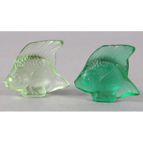 174 - TWO LALIQUE ANGEL FISH IN PALE GREEN, emerald and frosted glass, signed 'Lalique France' in script a... 