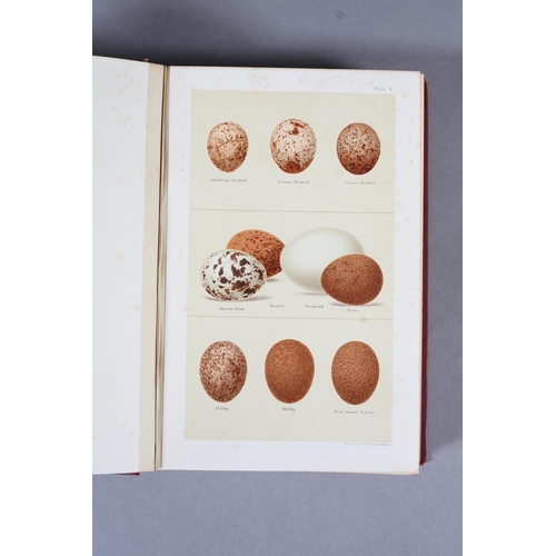 35 - SEEBOHN, HENRY - COLOURED FIGURES OF THE EGGS OF THE BRITISH BIRDS, colour litho to frontispiece and... 