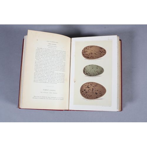 35 - SEEBOHN, HENRY - COLOURED FIGURES OF THE EGGS OF THE BRITISH BIRDS, colour litho to frontispiece and... 