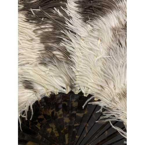 105 - c.1900, a large female ostrich feather fan with good mottled tortoiseshell sticks, overall height ap... 