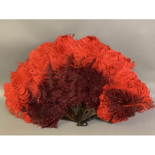 116 - An early 20th century dyed ostrich feather fan and fitted box, the fan shaded from a ruby red up to ... 