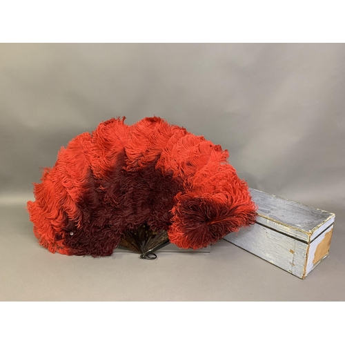 116 - An early 20th century dyed ostrich feather fan and fitted box, the fan shaded from a ruby red up to ... 