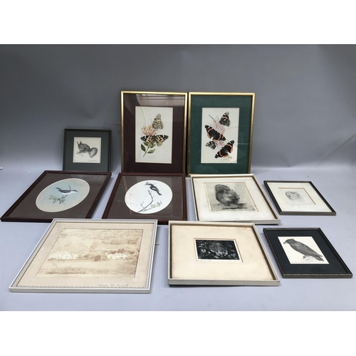 209 - A quantity of small prints of wildlife including etching of hedgehog and squirrel