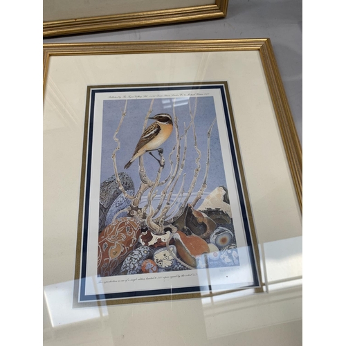 277 - Four signed prints of birds by Michael Warren