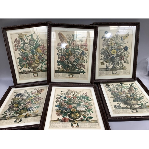 300 - A set of ten colour botanical prints in the Dutch style