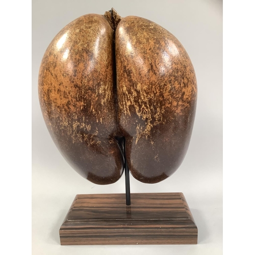Lot 15        