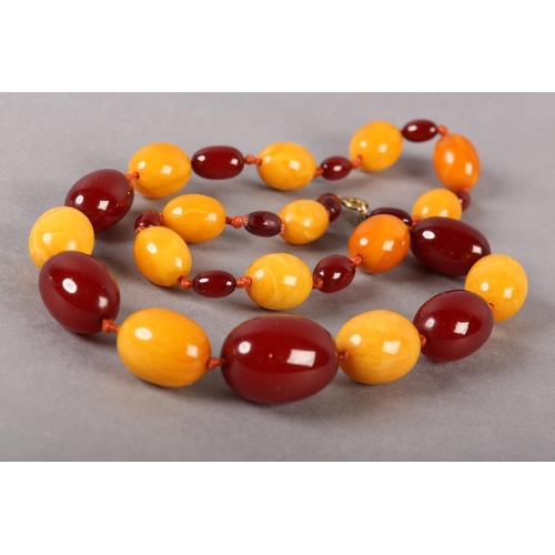 171 - AN AMBER NECKLACE C.1920S of graduated oval beads, alternating deep red and butterscotch in colour, ... 