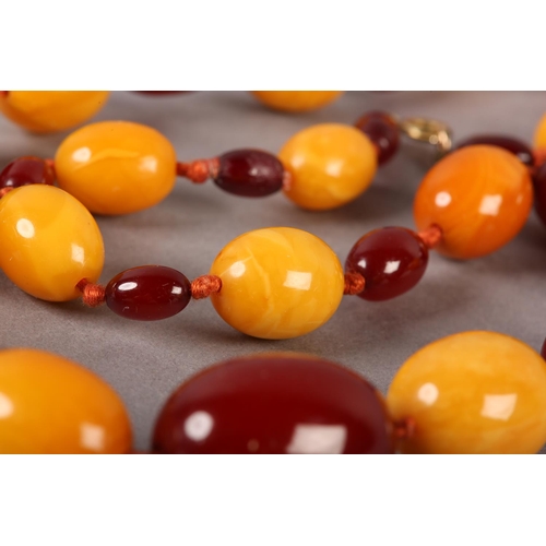 171 - AN AMBER NECKLACE C.1920S of graduated oval beads, alternating deep red and butterscotch in colour, ... 