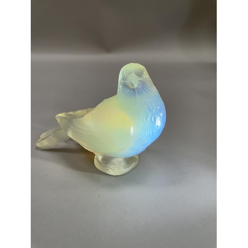 141 - A FRENCH CESARI OPALESCENT GLASS CAR MASCOT, moulded mark to underside of the wing, 9cm high by 12.5... 