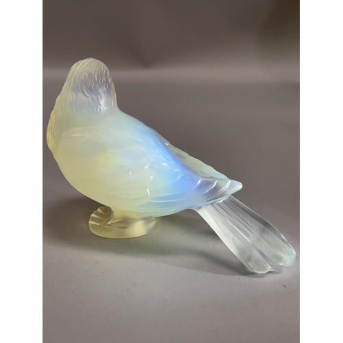 141 - A FRENCH CESARI OPALESCENT GLASS CAR MASCOT, moulded mark to underside of the wing, 9cm high by 12.5... 