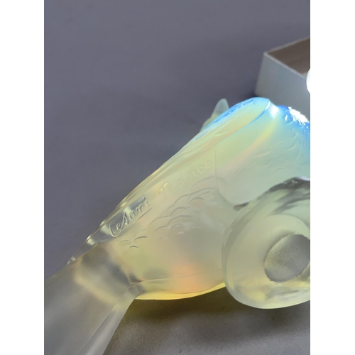 141 - A FRENCH CESARI OPALESCENT GLASS CAR MASCOT, moulded mark to underside of the wing, 9cm high by 12.5... 