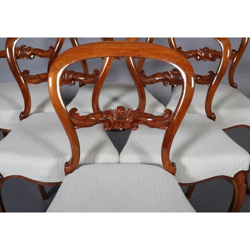 390 - A SET OF SIX VICTORIAN-STYLE MAHOGANY BALLOON BACK DINING CHAIRS, with foliate carved tie rail and u... 