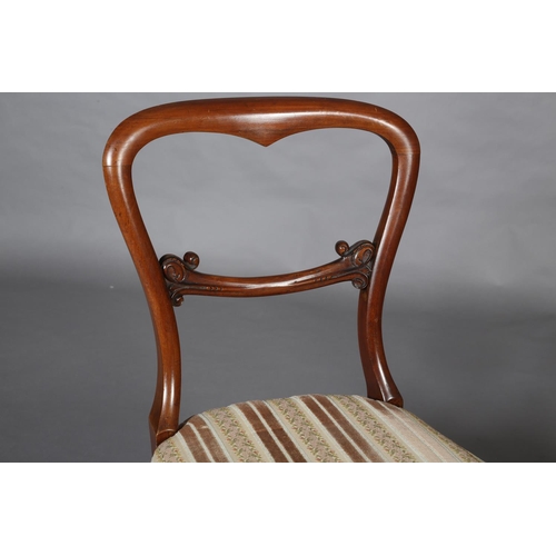 399 - A PAIR OF VICTORIAN MAHOGANY OPEN BACKED SALON CHAIRS on moulded cabriole legs with claw feet