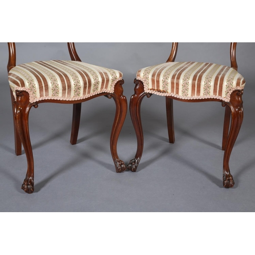 399 - A PAIR OF VICTORIAN MAHOGANY OPEN BACKED SALON CHAIRS on moulded cabriole legs with claw feet