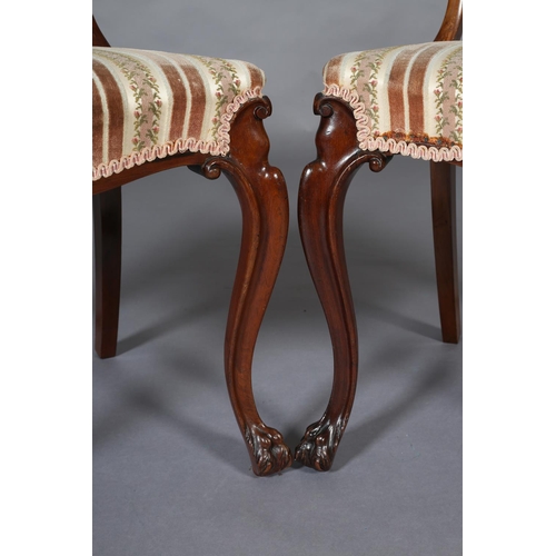 399 - A PAIR OF VICTORIAN MAHOGANY OPEN BACKED SALON CHAIRS on moulded cabriole legs with claw feet