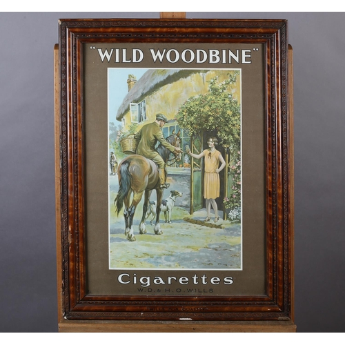 5 - WD & HO WILLS - 'WILD WOODBINE' CIGARETTES, COLOUR ADVERTISING POSTER illustrated with a young man o... 