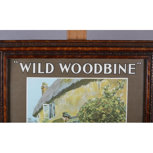 5 - WD & HO WILLS - 'WILD WOODBINE' CIGARETTES, COLOUR ADVERTISING POSTER illustrated with a young man o... 