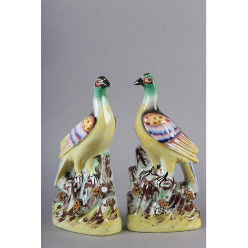 94 - A PAIR OF MID-19TH CENTURY STAFFORDSHIRE BIRDS WITH MULTICOLOURED PLUMAGE, perched on a rocky outcro... 