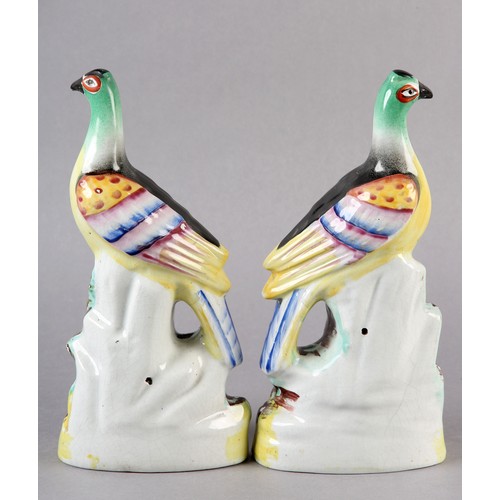 94 - A PAIR OF MID-19TH CENTURY STAFFORDSHIRE BIRDS WITH MULTICOLOURED PLUMAGE, perched on a rocky outcro... 