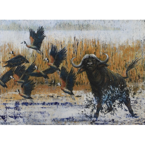 66 - ARR Elva Palombo (20th century), Water buffalo and waterfowl, mixed media, signed and dated (19)96 t... 