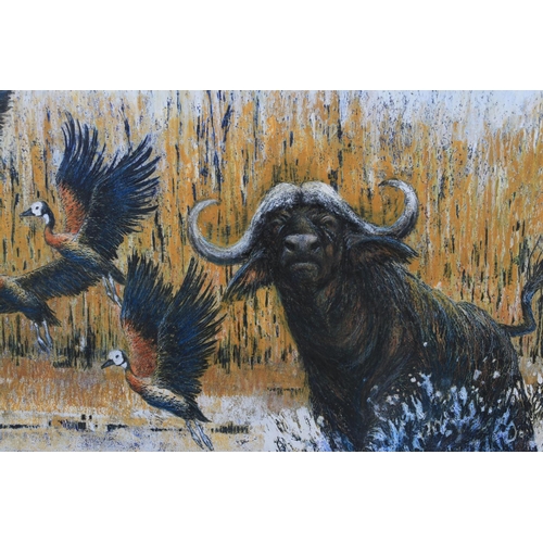 66 - ARR Elva Palombo (20th century), Water buffalo and waterfowl, mixed media, signed and dated (19)96 t... 